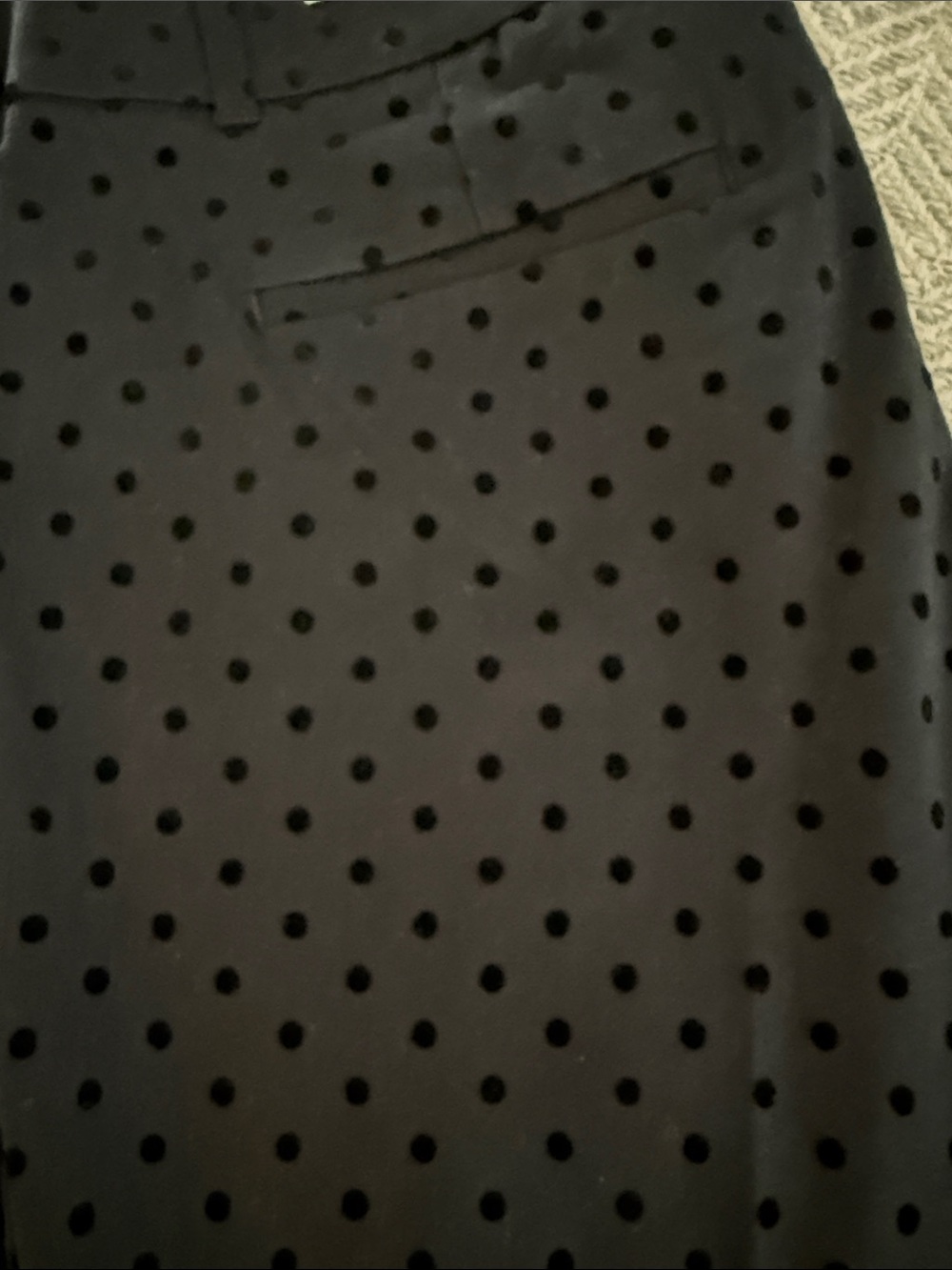 NWT Polka Dot Black Ankle Pants